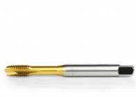 Machos e Caçonetes LINK