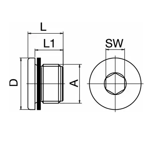 Tampão c/ cabeça rosca BSP