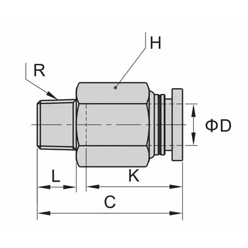 Record macho recto BSPT