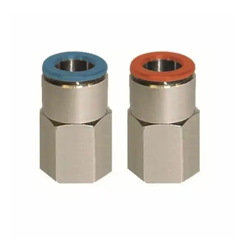 Record fêmea recto BSPT