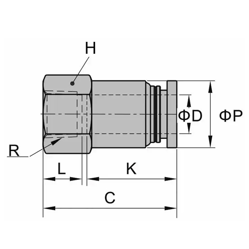Record fêmea recto BSPT