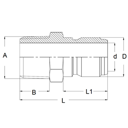 Record Macho Large Flow