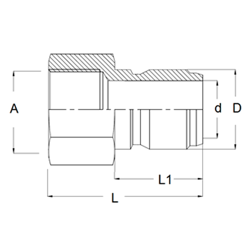 Record Fêmea Large Flow