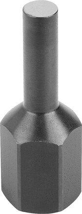 Auflagebolzen Stiftform mit Innengewinde