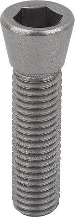 Ersatzschrauben für Spanndorne