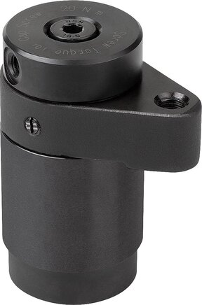 Schwenkspanner, Rechtsausführung