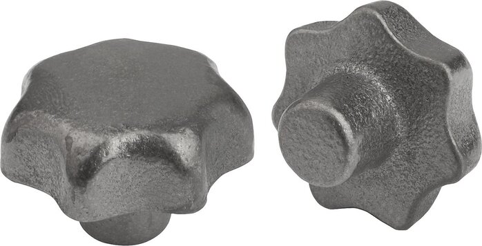 Sterngriffe DIN 6336 aus Grauguss, Form A, Rohling