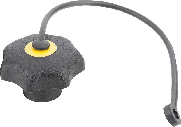 Sterngriffe mit Sicherungsbandähnlich DIN 6336 Stahlteile aus Edelstahl, Innengewinde Form KS