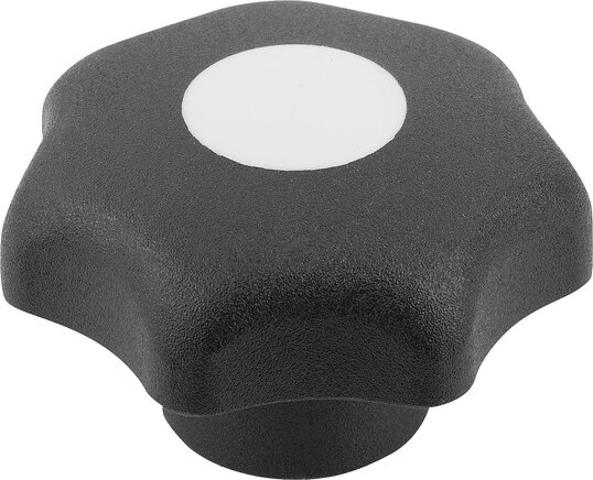 Sterngriffe ähnlich DIN 6336, mit Passbuchse, Form H