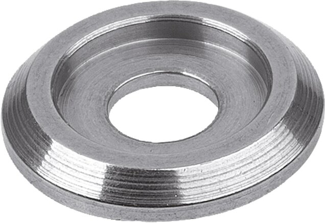 Abschlussscheibe Edelstahl