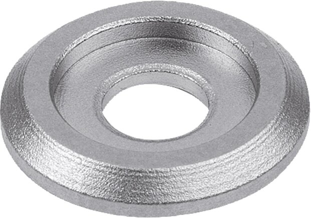 Abschlussscheibe Edelstahl