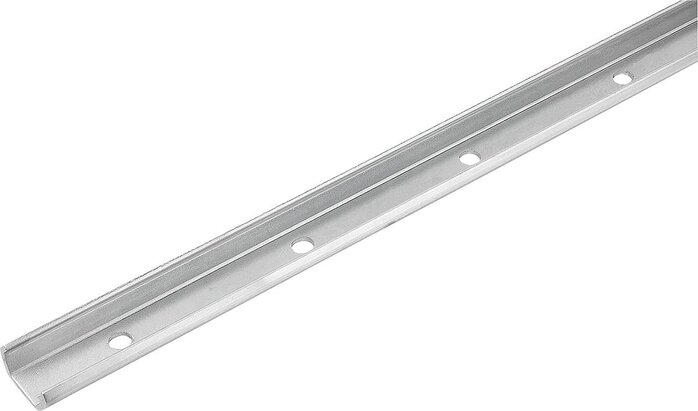 Rollenführungsschienen für Festlager