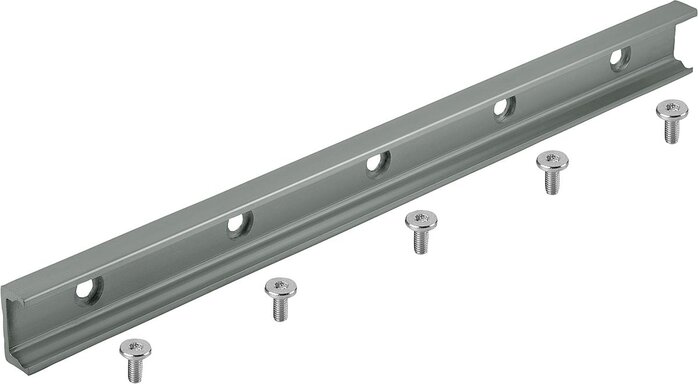 Rollenführungsschienen Form A für Festlager