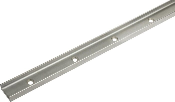 Rollenführungsschienen Form B für Loslager