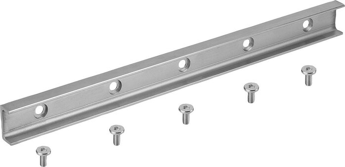 Rollenführungsschienen Form B für Loslager