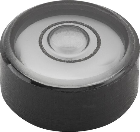 Dosenlibellenkörper