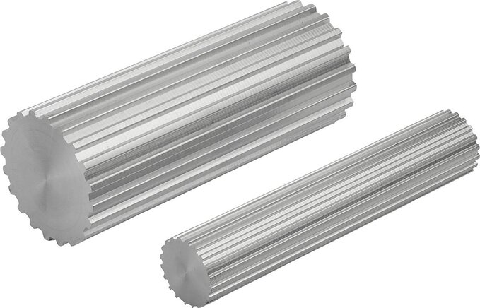 Zahnwellen Profil T10