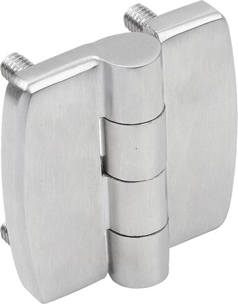 Scharniere aus Edelstahl, mit Befestigungsschraube