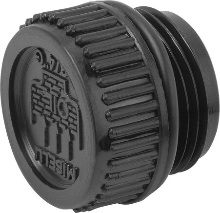 Verschlussschrauben Form B, mit Einfüllsymbol und Entlüftungsbohrung