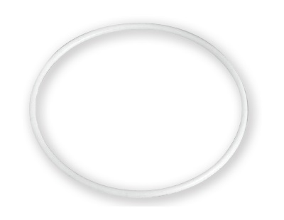 PTFE O-RING