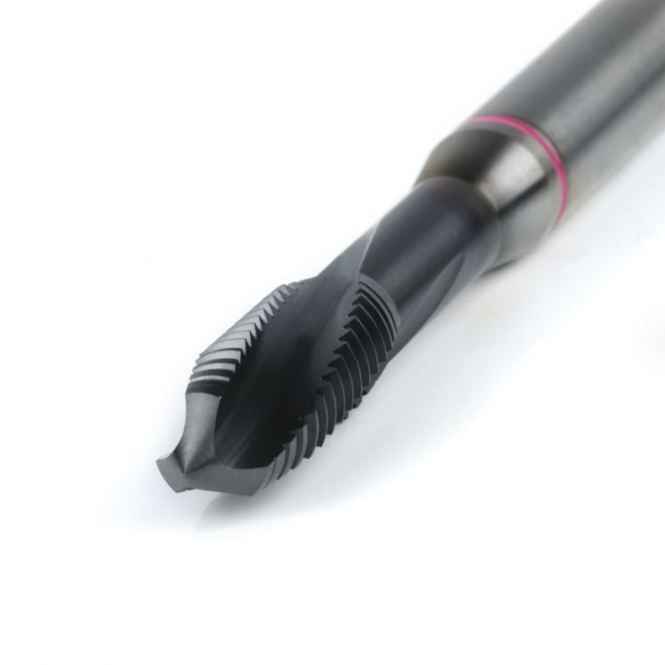 MACHO à ESQUERDA F.PASSANTES PM TICN KERFOLG A2245