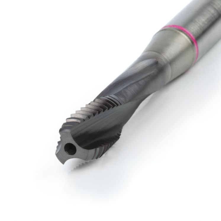 MACHO à DIREITA F.CEGOS 25°PM TICN KERFOLG A2246