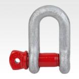 SHACKLE STRAIGHT