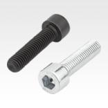 SOCKET HEAD SCREW