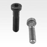 SOCKET HEAD SCREW WITH HEXAGON SOCKET