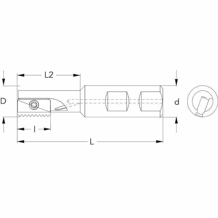 FRESAS PARA ROSCAR COM INSERTOS