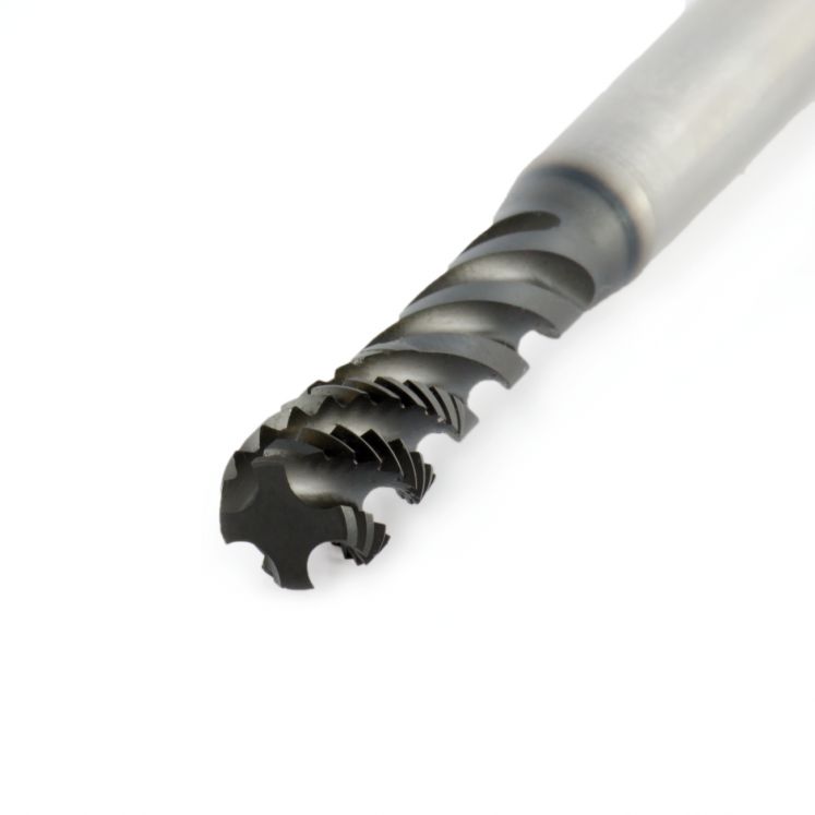 MACHO F. CEGOS 40° E PM IPER KERFOLG A2182